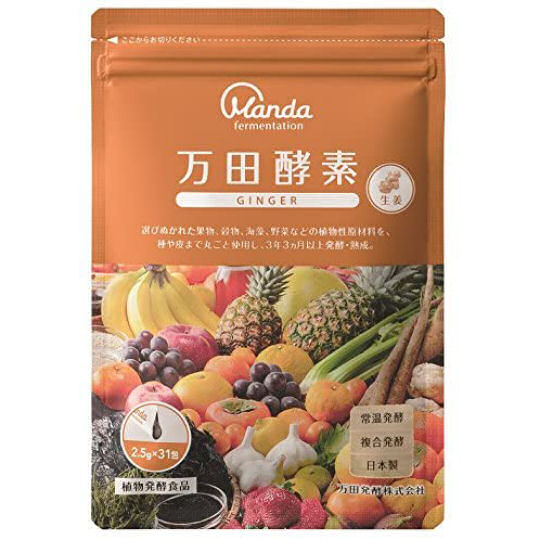Manda Koso Ginger Health Supplement Paste - Fermented botanical superfood - Japan Trend Shop