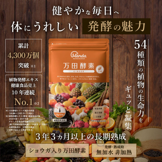 Manda Koso Ginger Health Supplement Paste - Fermented botanical superfood - Japan Trend Shop