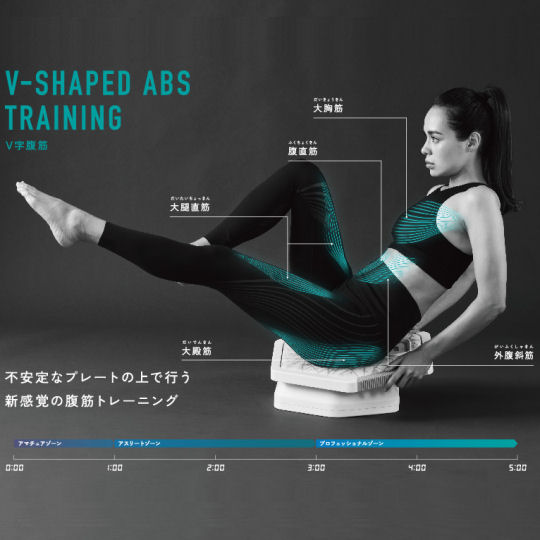 Atex Lourdes Style EMS Plank Trainer - Electric muscle stimulation enhanced core exercise device - Japan Trend Shop