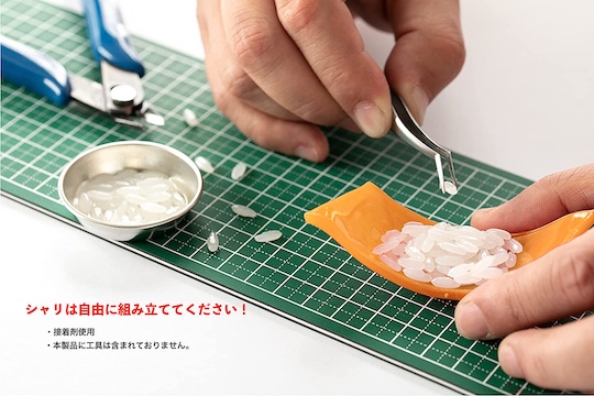 Sushi Plamo 1/1 Scale Plastic Model Kit - Full-scale, self-assembly raw fish model - Japan Trend Shop