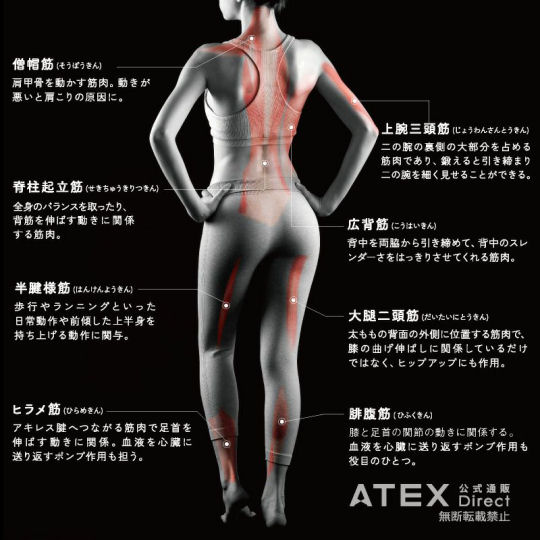 Atex Lourdes Shape-Up Board - Whole-body vibration exercise machine - Japan Trend Shop