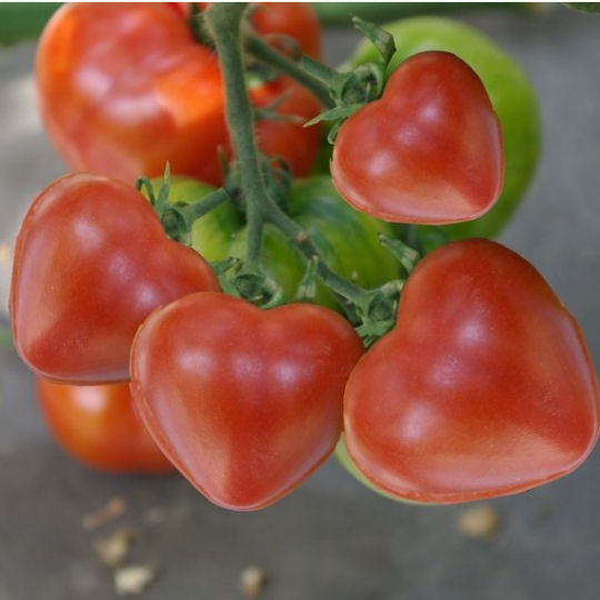 Tomato Heart Molds - Food decoration tools - Japan Trend Shop
