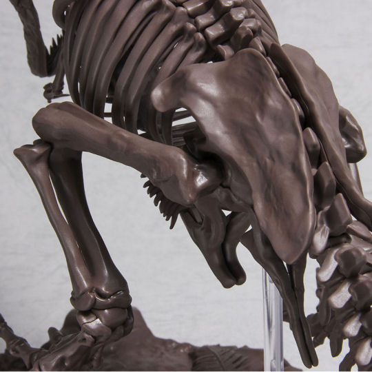 Imaginary Skeleton Tyrannosaurus 1/32 Model - Scientifically accurate dinosaur-building kit - Japan Trend Shop