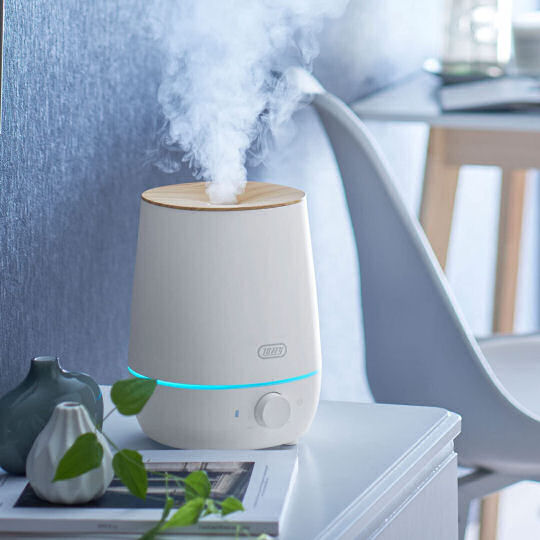 Toffy Antibacterial Aroma Humidifier - Air purification, moisture control, and fragrance diffusion device - Japan Trend Shop
