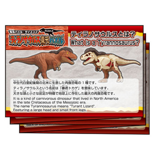 3D Tyrannosaurus Dissection Puzzle - Dinosaur assembly game - Japan Trend Shop