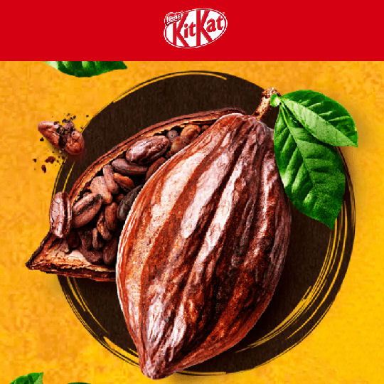 Kit Kat Mini Marugoto Cacao (36 Pack) - 72% cacao, cocoa nibs chocolate biscuits - Japan Trend Shop