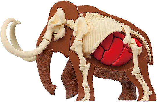 3D Mammoth Dissection Puzzle - Prehistoric creature educational toy - Japan Trend Shop