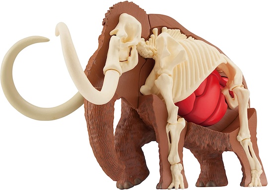 3D Mammoth Dissection Puzzle - Prehistoric creature educational toy - Japan Trend Shop
