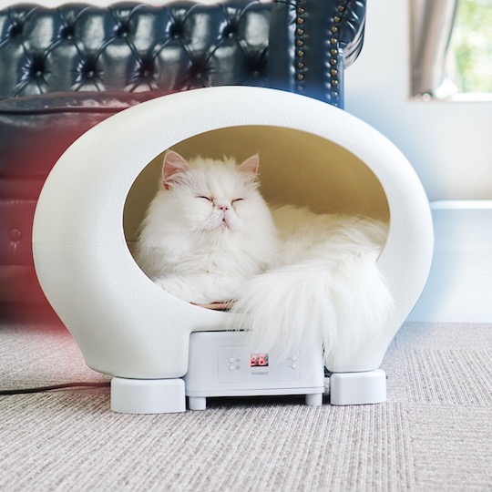 Animal Capsule Hotel for Cats