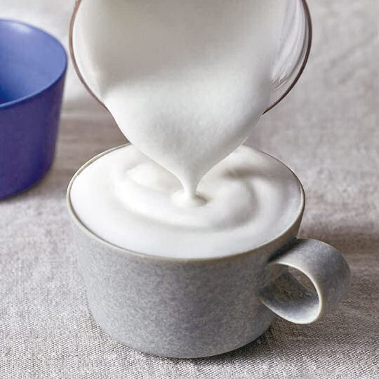Recolte Milk Tea Maker - Multipurpose beverage-making appliance - Japan Trend Shop