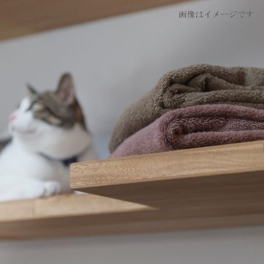 Imabari Kinsei Premium-Quality Four Towels Box - Luxury Japanese cotton towel set - Japan Trend Shop