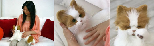 Dream Cat Venus - Yume Neko Robotic Cat -  - Japan Trend Shop