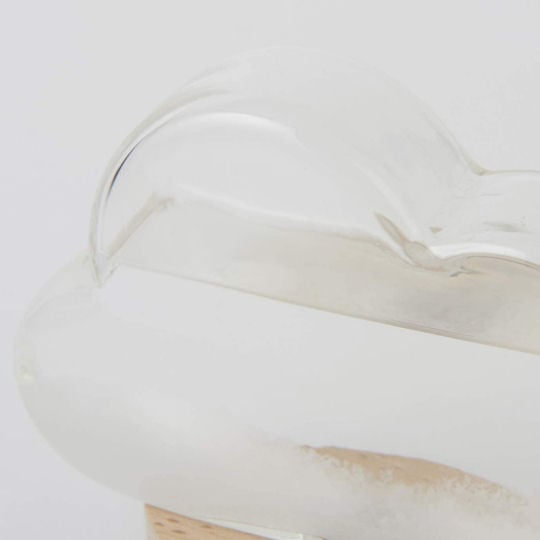 Fun Science Storm Glass Cloud - Weather forecast ornament - Japan Trend Shop