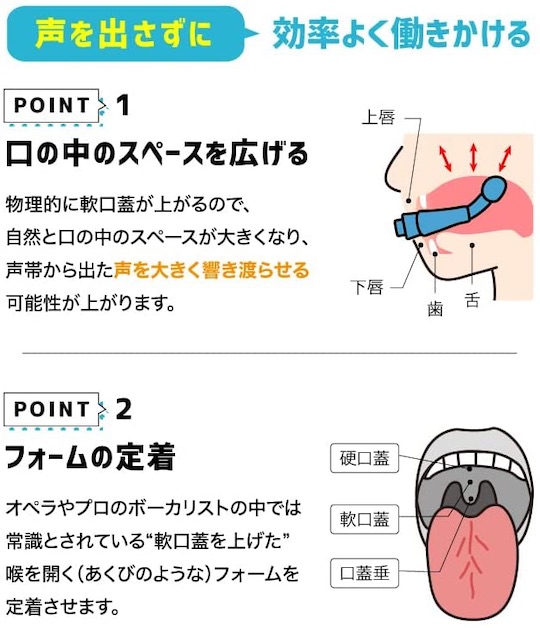 High Tone Trainer - Singing voice training tool - Japan Trend Shop