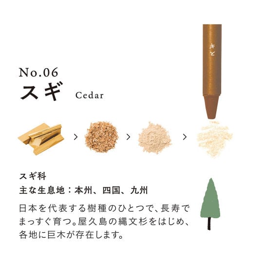 Forest Crayons Set - Woodland colors art pastels - Japan Trend Shop