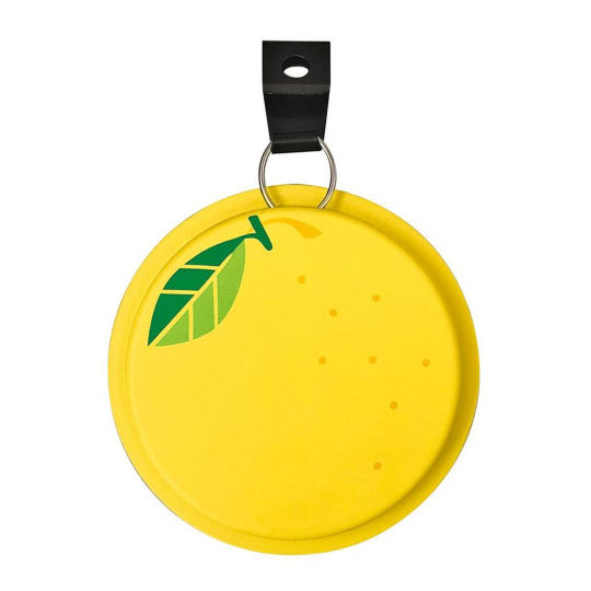 Portable Mini Mosquito Coil Case Lemon and Watermelon - Fruit-themed insect repellent holder - Japan Trend Shop