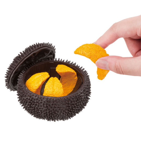 3D Sea Urchin Dissection Puzzle - Seafood educational toy - Japan Trend Shop