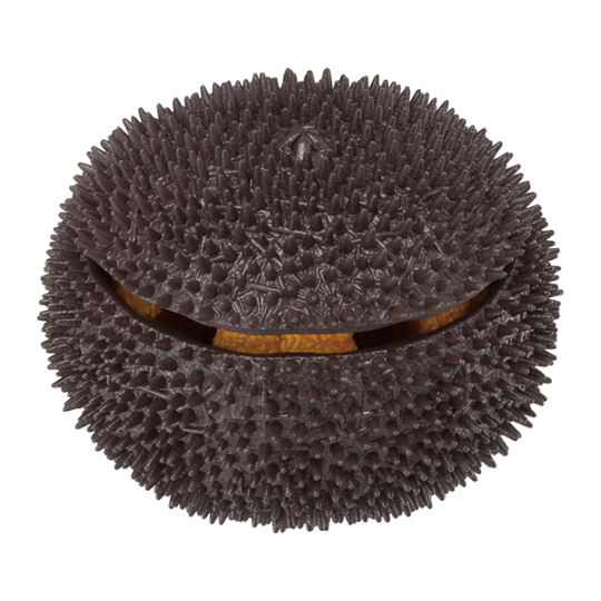 3D Sea Urchin Dissection Puzzle - Seafood educational toy - Japan Trend Shop