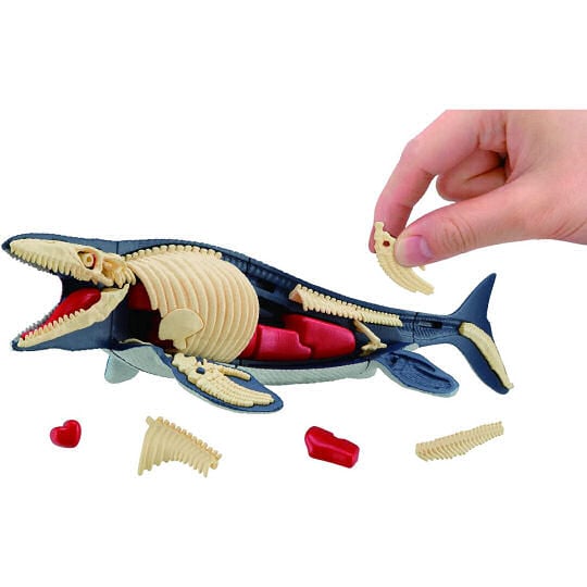3D Mosasaurus Dissection Puzzle - Prehistoric creature educational toy - Japan Trend Shop