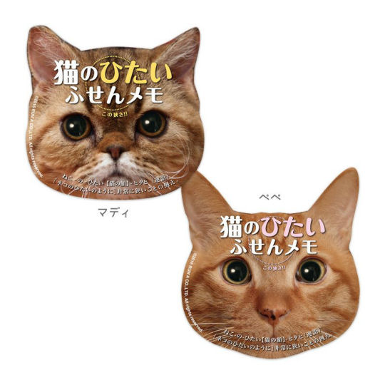 Cat Brow Sticky Notes - Cat face memo stationery - Japan Trend Shop