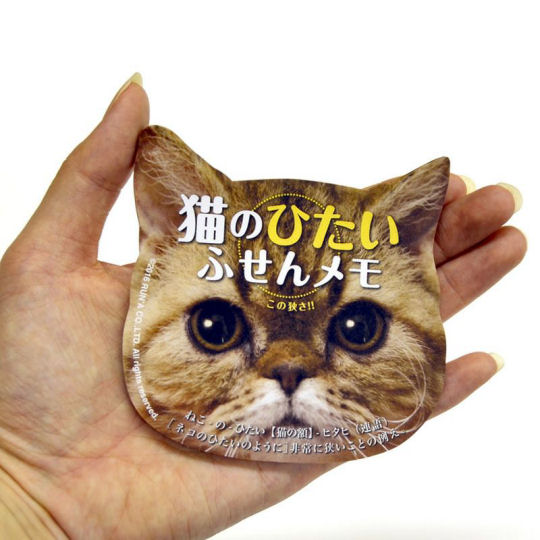 Cat Brow Sticky Notes - Cat face memo stationery - Japan Trend Shop