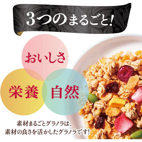 Kellogg's Half-Fat Granola (Pack of 2) - Healthy Japanese breakfast cereal - Japan Trend Shop