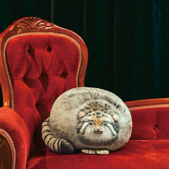 Puffy Pallas's Cat Cushion - Endangered wild cat-shaped soft cushion - Japan Trend Shop