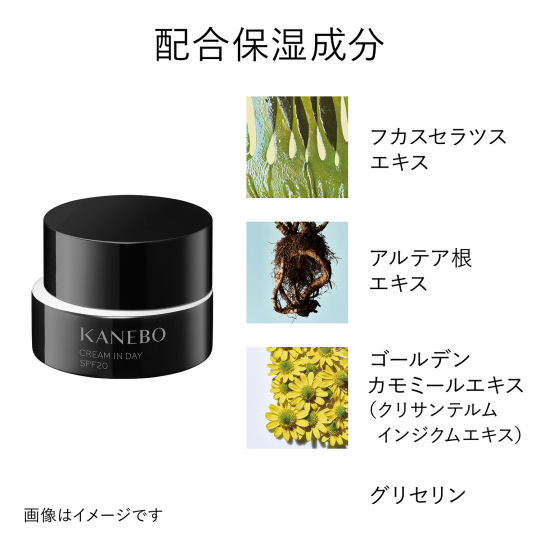 Kanebo Cream In Day - Morning care face moisturizer - Japan Trend Shop