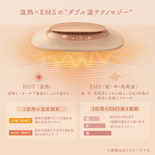 Atex Lourdes Beauté On Plate EMS Werarable Stomach Device - Belly and abdominal muscles exercise and warming - Japan Trend Shop
