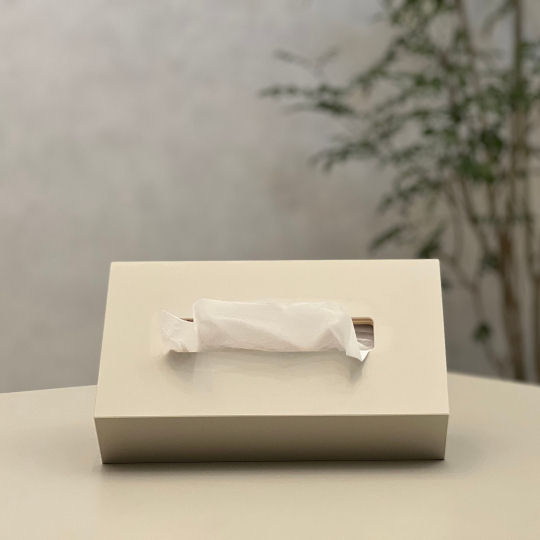 Mg Light Gray Tilted Tissue Box Holder - Uniquely designed tissue paper dispenser - Japan Trend Shop