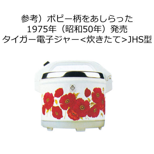 Tiger Thermos 100th Anniversary Retro Bento Box - 1970s-style vintage design lunchbox - Japan Trend Shop