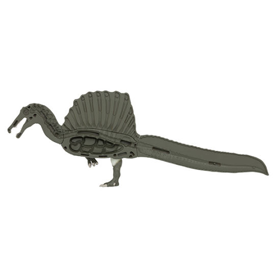 3D Spinosaurus Dissection Puzzle - Dinosaur assembly game - Japan Trend Shop