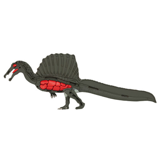3D Spinosaurus Dissection Puzzle - Dinosaur assembly game - Japan Trend Shop