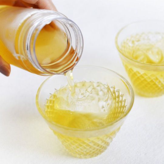 Cold Brew Tea Starter Kit - Iced tea preparation set - Japan Trend Shop