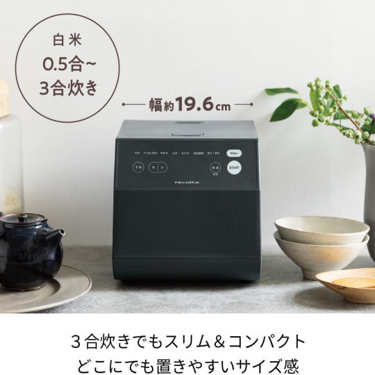 Recolte RCR-2 Cooking Rice Cooker - Practical design multipurpose rice steamer - Japan Trend Shop