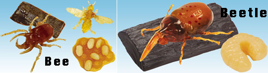 Gummix Gelee-Insekten-Macher Set - Essbare Insekten aus Gelee für Kinder - Japan Trend Shop