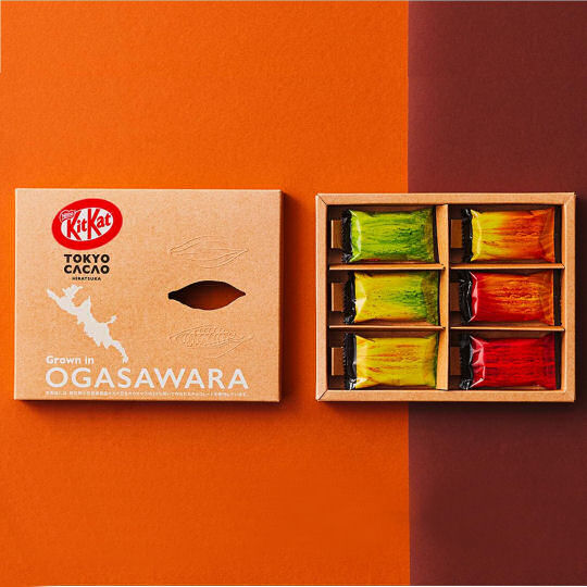 Kit Kat Mini Tokyo Cacao (Pack of 6) - Japan-grown cacao-flavor chocolate biscuits - Japan Trend Shop