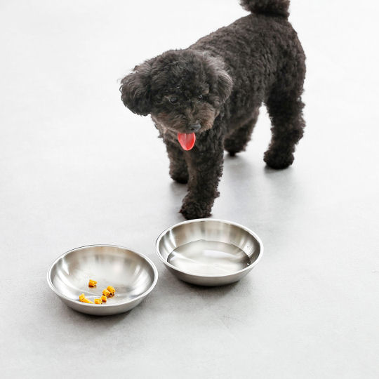 braaa Stainless Steel Pet Bowl - Designer pet accessory - Japan Trend Shop