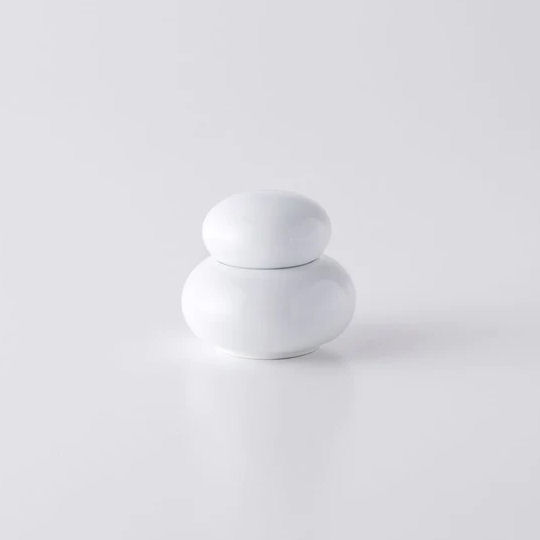 Hakusan Sue Porcelain Condiment Container - Ceramic seasoning jar - Japan Trend Shop