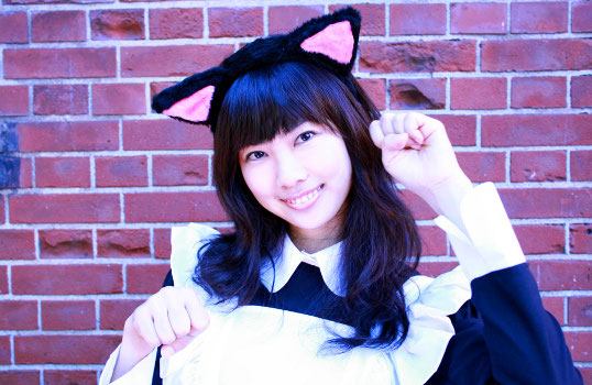 Cat Ear NekoMimi Headphones - Thanko cosplay ear phones - Japan Trend Shop
