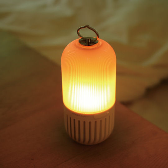 Spice of Life Capsule Light and Speaker