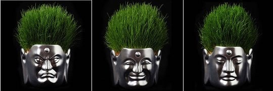 Buddha Hair Salon Flower Pot Small