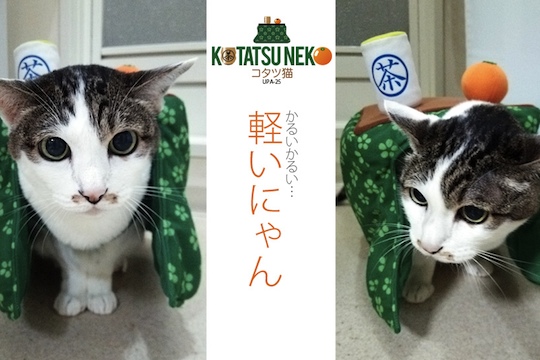 Katatsu Mobile Kotatsu Cat Table
