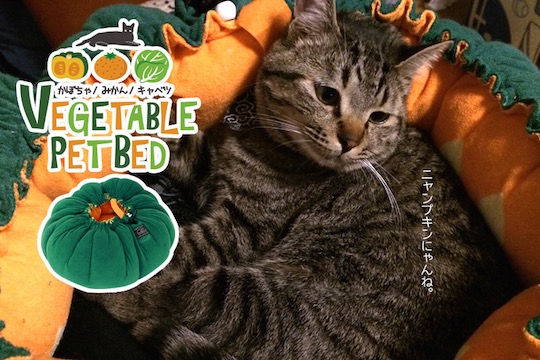 Vegetable Pet Bed