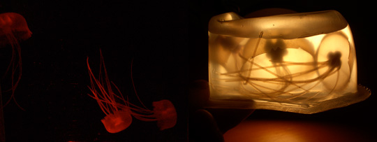 Aquapict LED Jellyfish Aquarium